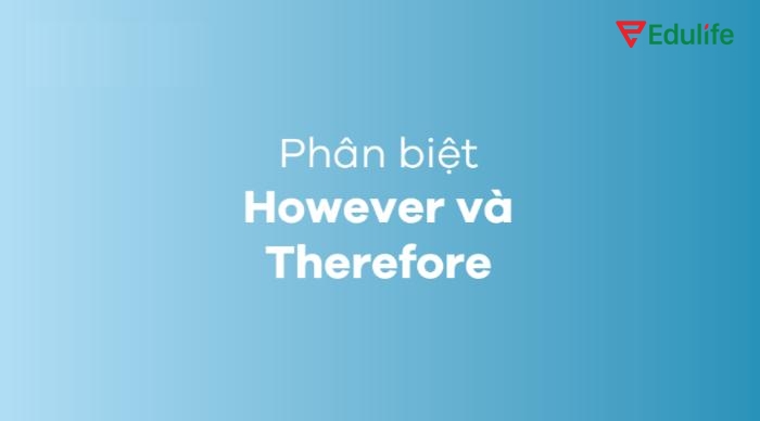 “However” dùng để chỉ sự trái ngược, còn “Therefore” thể hiện mối quan hệ nhân – quả giữa các ý
