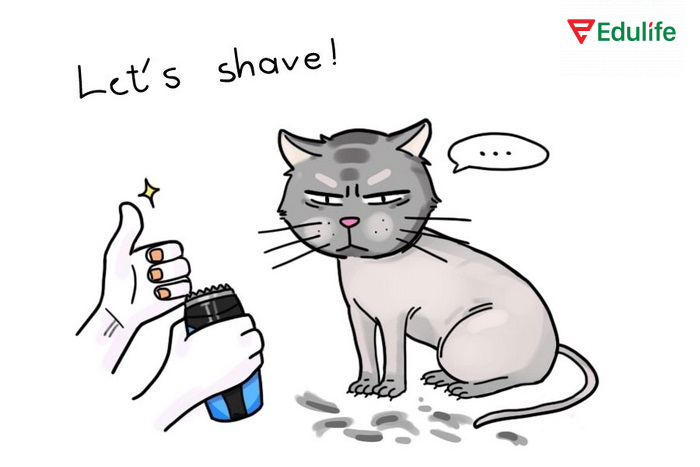 Let’s dùng trong giao tiếp hàng ngày