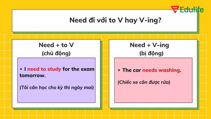 Cấu trúc Need dùng khi là động từ thường nói về hành động chủ động, có kế hoạch 
