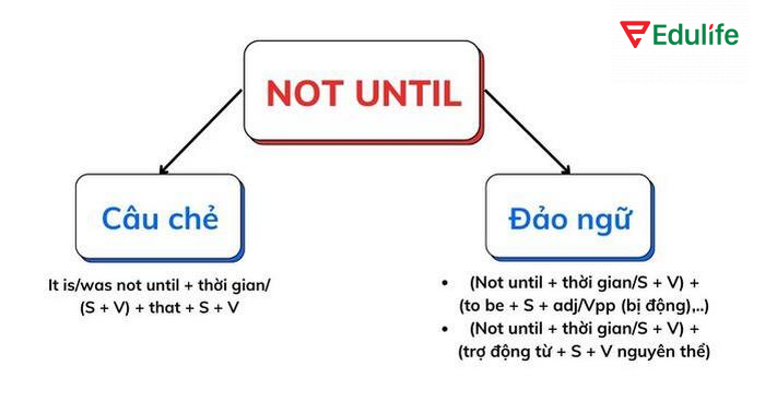 Cấu trúc nhấn mạnh đảo ngữ dùng khi muốn nổi bật một phần nào đó với các trạng từ phủ định hoặc cụm trạng từ đặc biệt