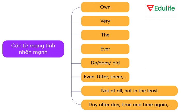 Cấu trúc nhấn mạnh dùng do/does/did nhằm làm nổi bật hành động trong câu