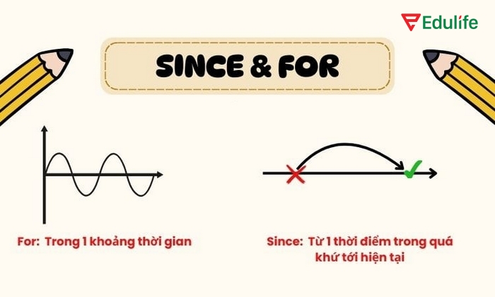 Cấu trúc Since và For khác nhau về ngữ nghĩa nhưng rất dễ bị nhầm lẫn khi sử dụng, dẫn đến lỗi sai