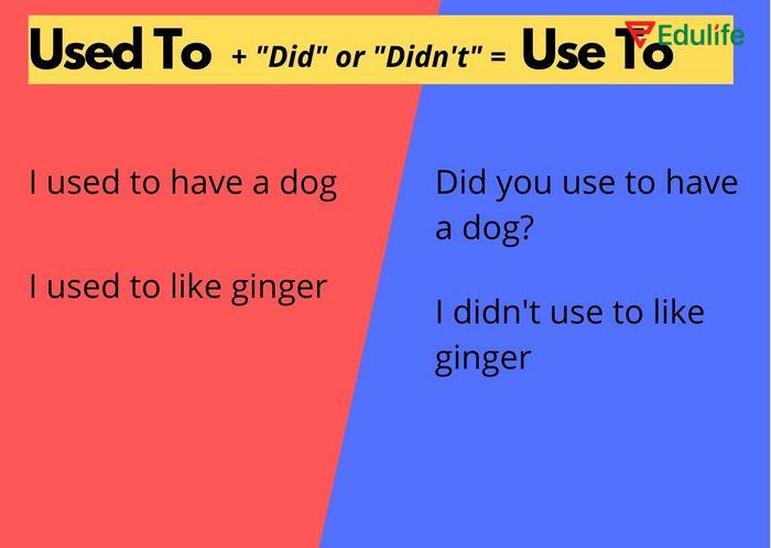 Cấu trúc used to sẽ lược bỏ “d” khi dùng trong câu phủ định hoặc nghi vấn khi câu đã có “did”