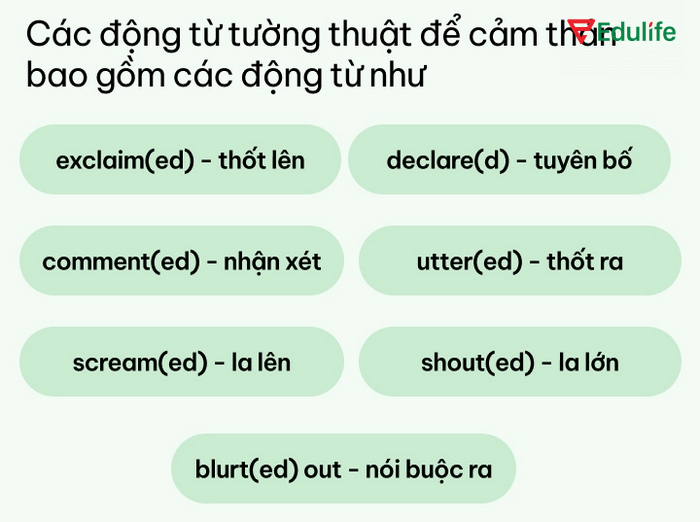 Câu tường thuật cảm thán luôn có những động từ biểu đạt cảm xúc trong câu