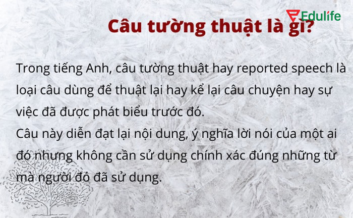 Câu tường thuật là một dạng câu quan trọng trong ngữ pháp tiếng Anh 