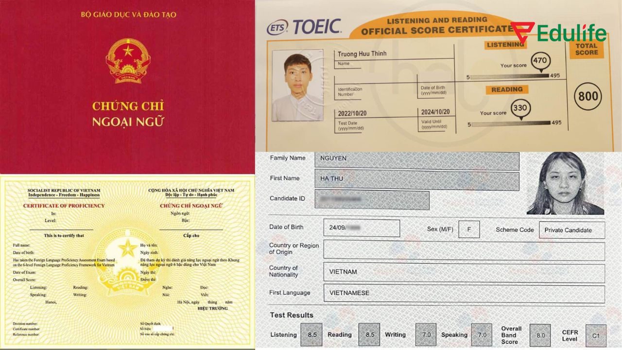 Các chứng chỉ được công nhận chuẩn đầu ra tiếng Anh Đại học Tôn Đức Thắng