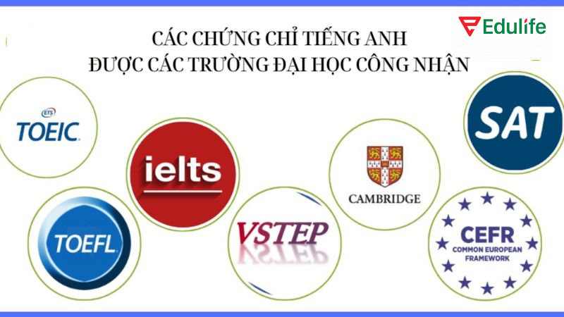 Có nhiều chứng chỉ tiếng Anh được các trường đại học công nhận chuẩn đầu ra
