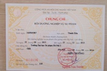 Chứng chỉ nghiệp vụ sư phạm là gì? Thông tin mới nhất 2025
