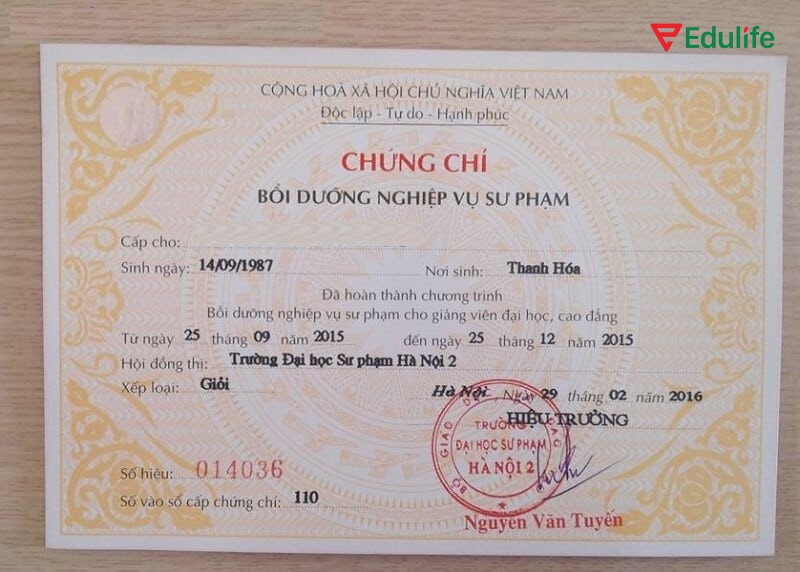 Chứng chỉ nghiệp vụ sư phạm là gì?