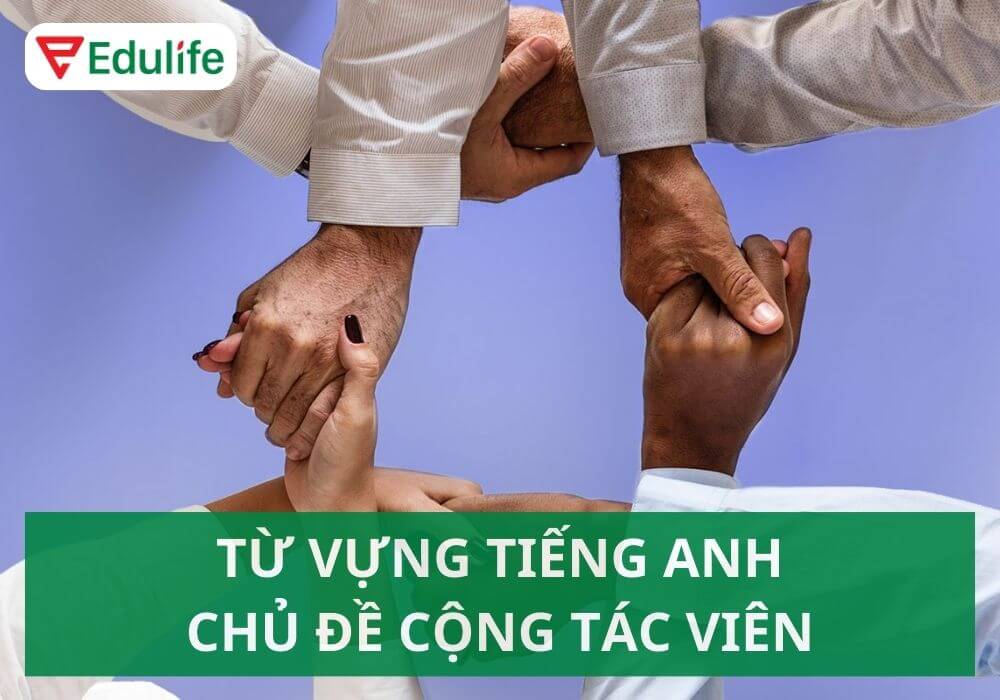 Cộng tác viên tiếng Anh là gì?