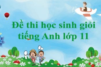 đề thi học sinh giỏi tiếng Anh lớp 11