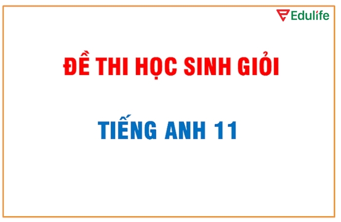 Đề thi học sinh giỏi tiếng Anh lớp 11 được thiết kế để đánh giá toàn diện kỹ năng, tư duy ngôn ngữ của học sinh