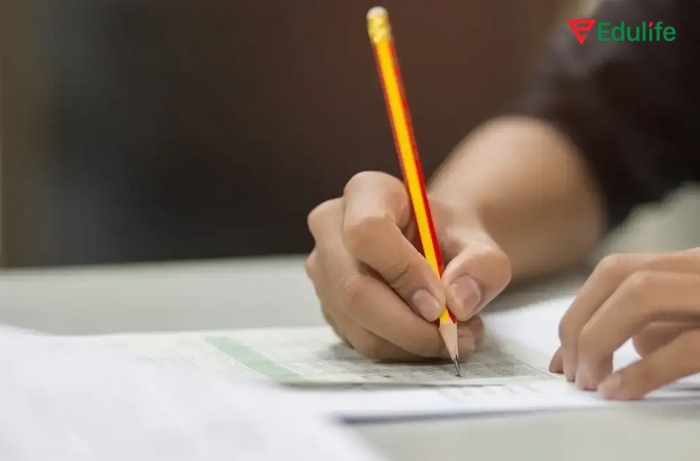 Khi là quen nhiều với đề thi học sinh giỏi tiếng Anh lớp 11 thì bạn sẽ có chiến lược làm bài để đạt kết quả tốt