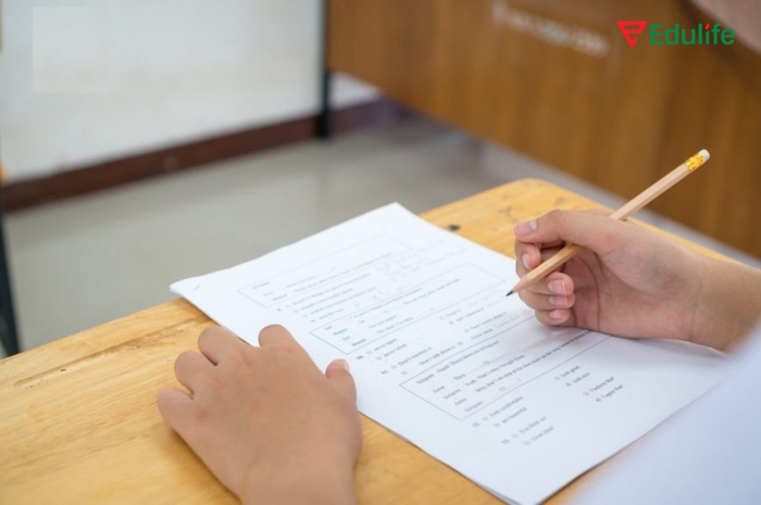 Tìm hiểu về đề thi học sinh giỏi tiếng Anh lớp 11, bạn sẽ hiểu rõ cấu trúc đề thi để lên kế hoạch học tập, ôn luyện phù hợp