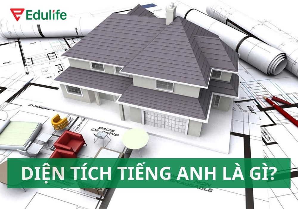 Diện tích tiếng Anh là gì?