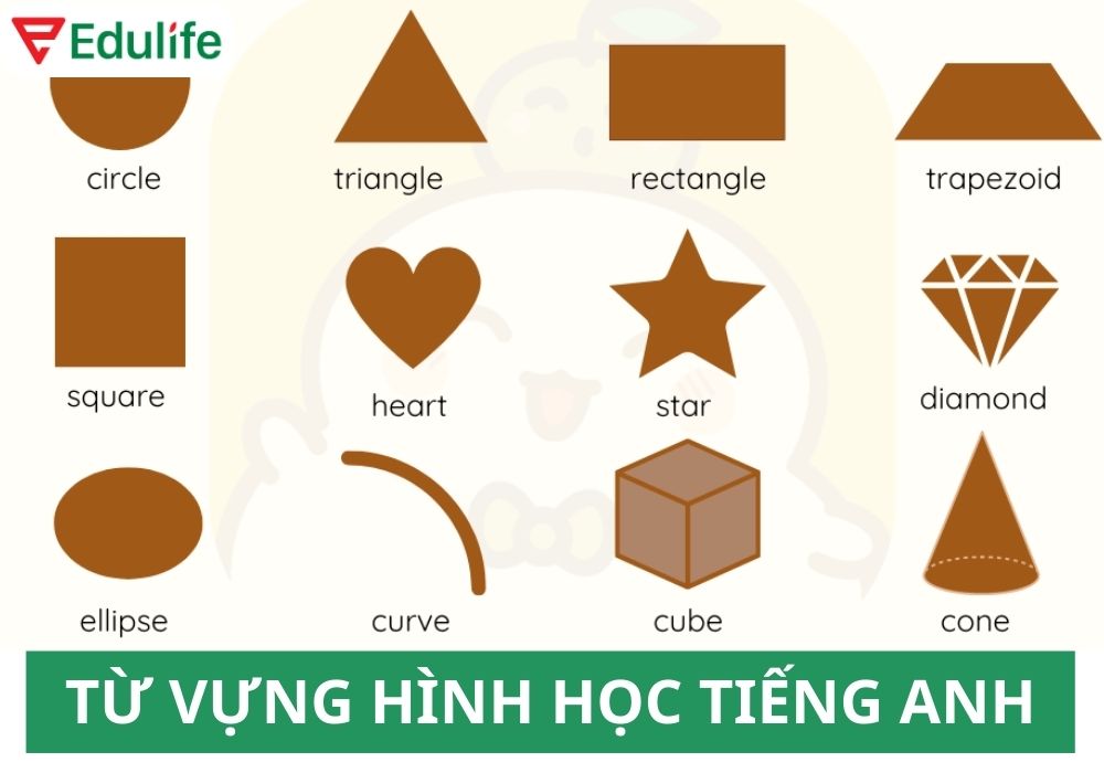 Diện tích tiếng Anh là gì?