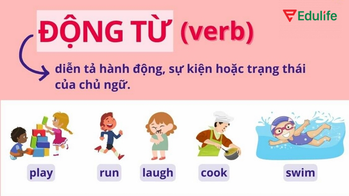 Khác với động từ khuyết thiếu, động từ thường phải chia theo thì của câu