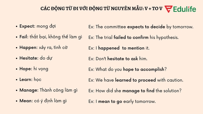 Kết hợp Hope với động từ nguyên mẫu để diễn đạt sự hy vọng làm điều gì đó