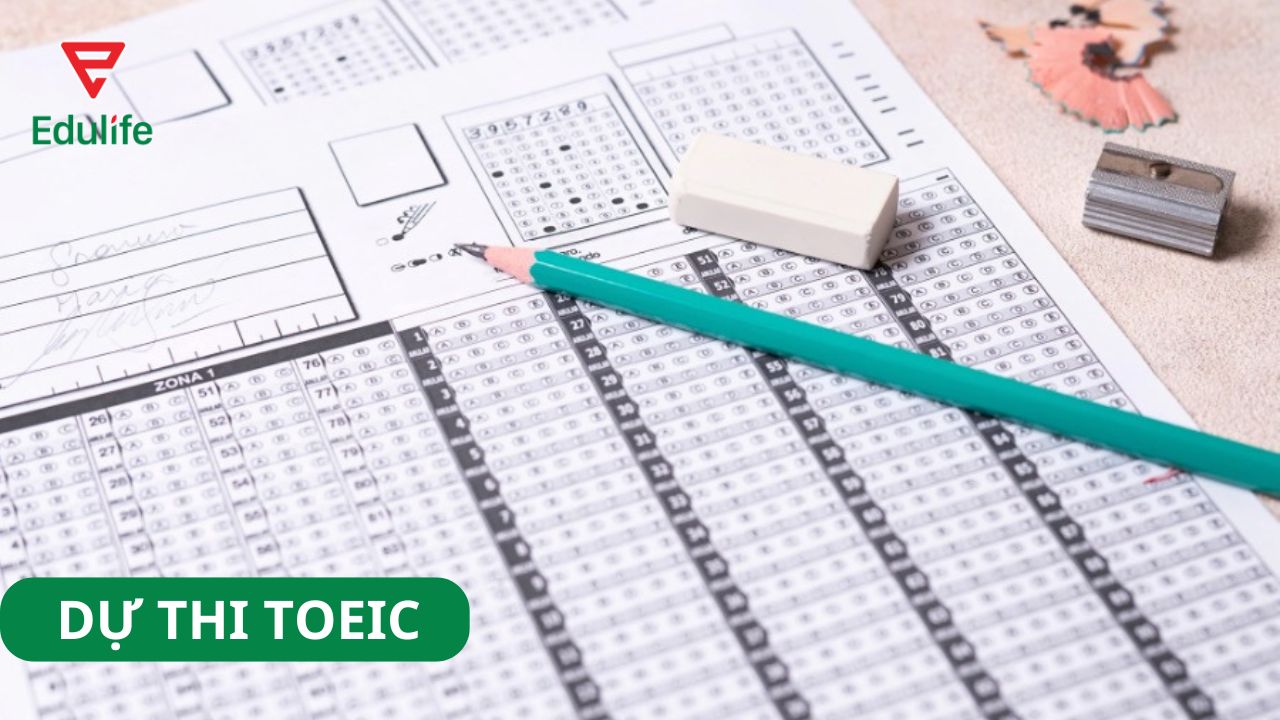 du-thi-toeic