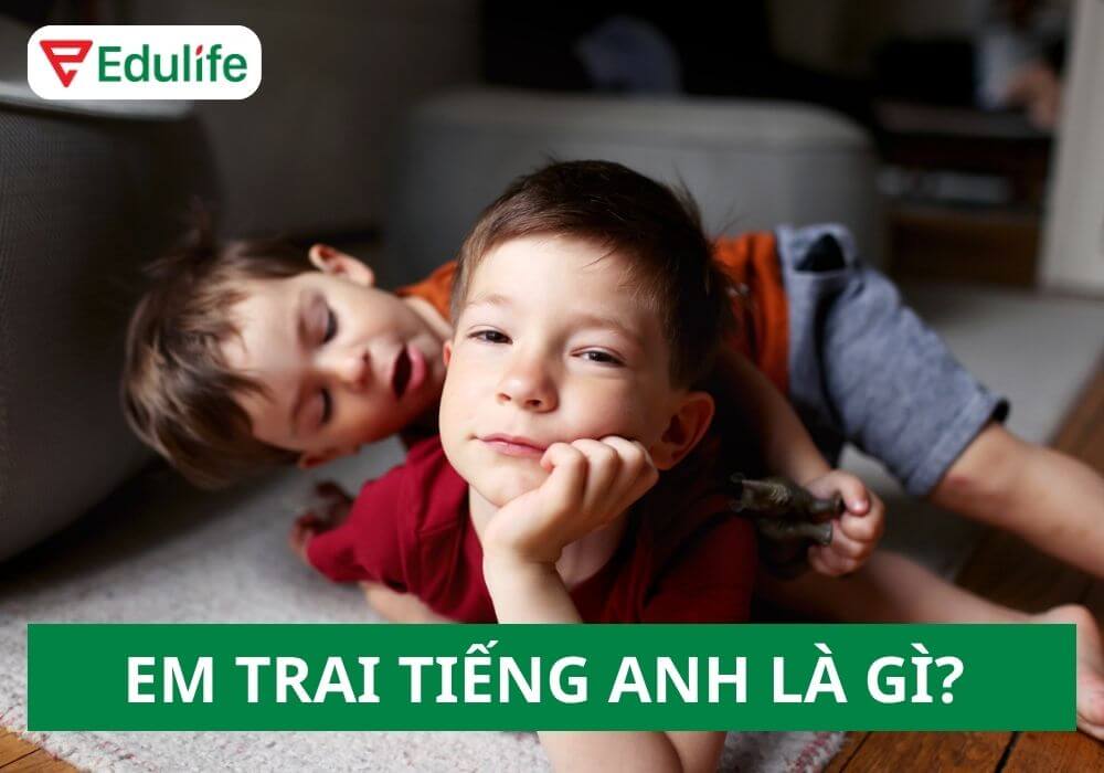 Em trai tiếng Anh là gì? 