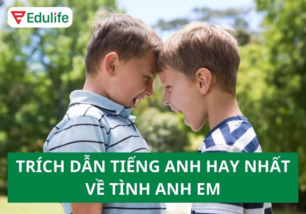 Em trai tiếng Anh là gì? 