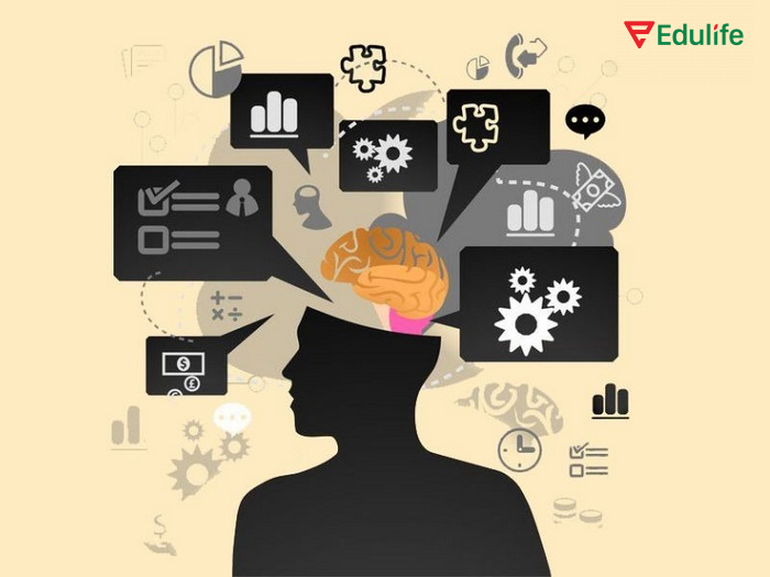 Phương pháp Feynman Technique giúp hệ thống kiến thức theo cách hiểu đơn giản