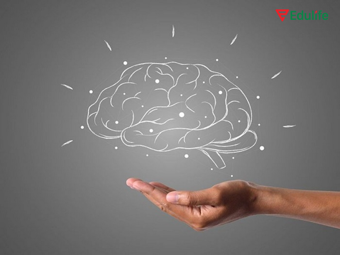 Feynman Technique giúp rút gọn các điểm mấu chốt chính rõ ràng, dễ hiểu