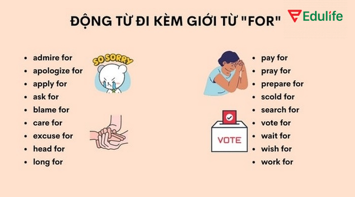Các động từ hay đi kèm với for