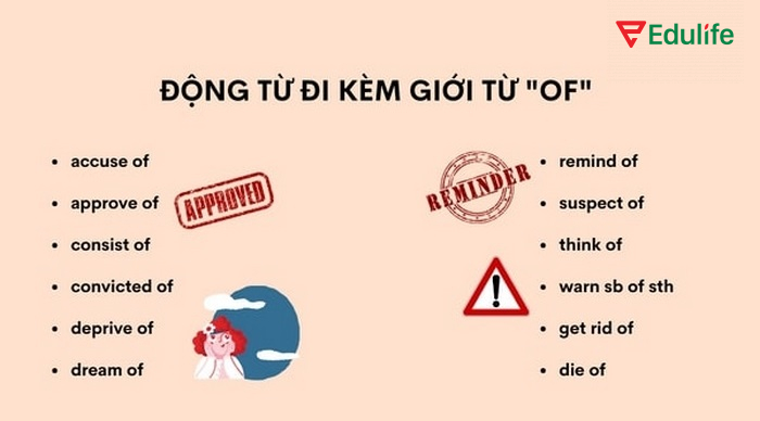Các động từ hay đi kèm với of