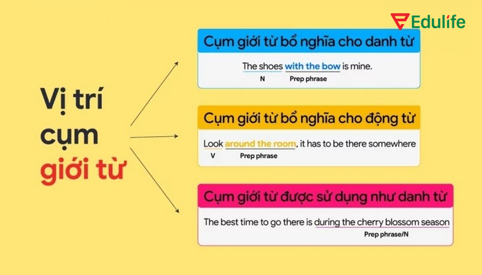 Vị trí cụm giới từ