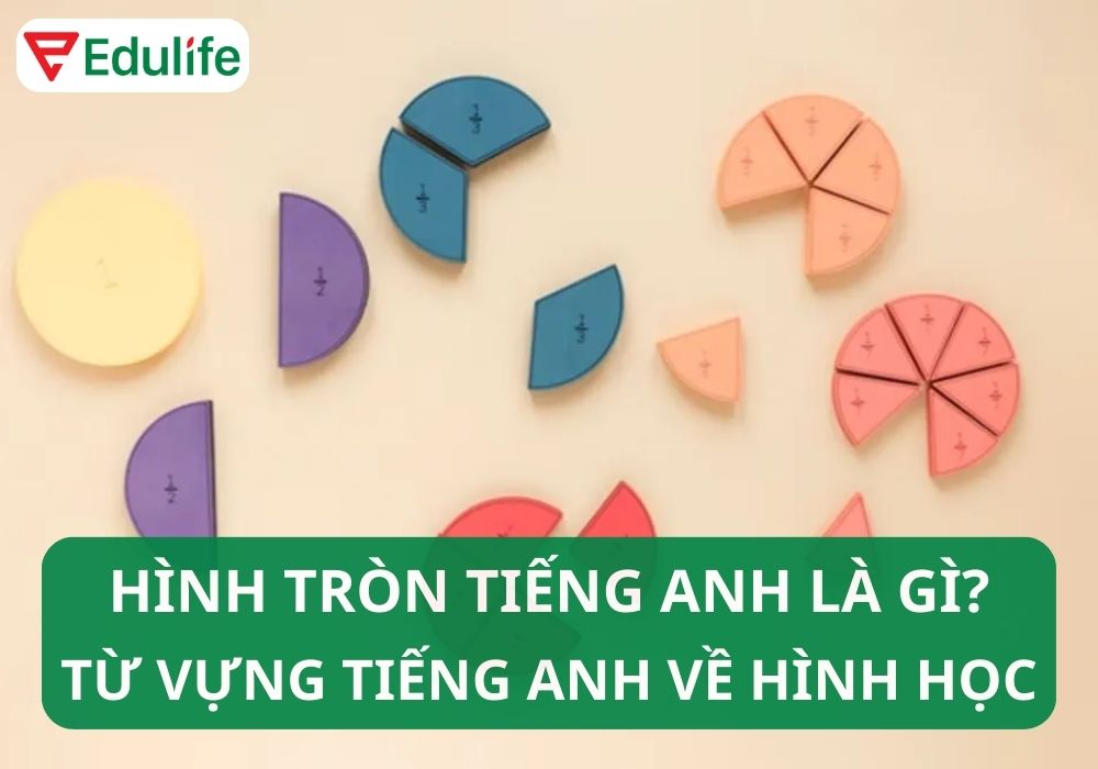 Hình tròn tiếng Anh là gì?