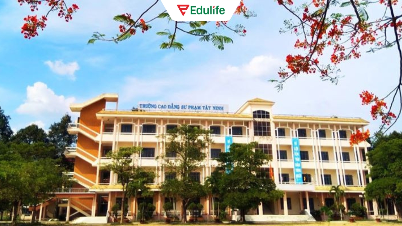 Cao Đẳng Sư phạm Tây Ninh - Nơi đào tạo và luyện thi chứng chỉ tiếng Anh uy tín