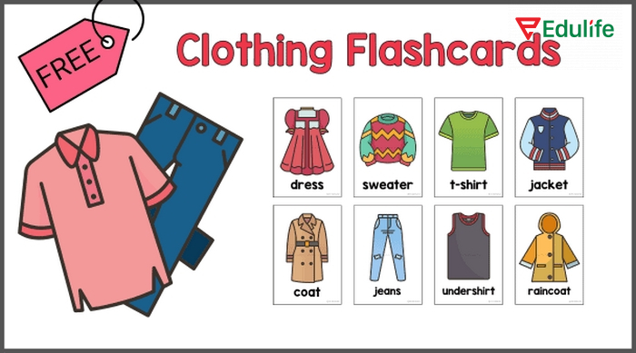 Học từ vựng bằng flashcard giúp bạn rèn luyện trí nhớ chủ động qua hình ảnh, ngôn ngữ chủ đích