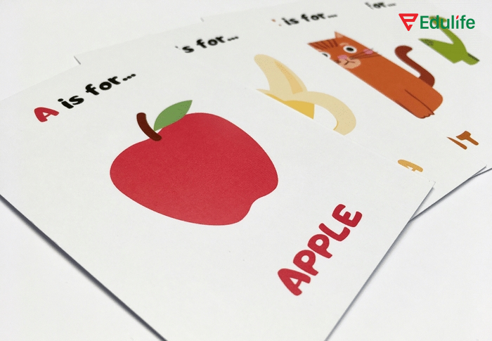 Học từ vựng bằng flashcard nên kết hợp với nhiều phương pháp học tập khác để tăng khả năng ghi nhớ