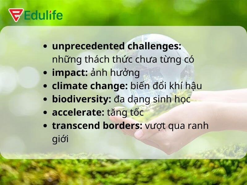 Học từ vựng qua đoạn văn song ngữ Anh Việt