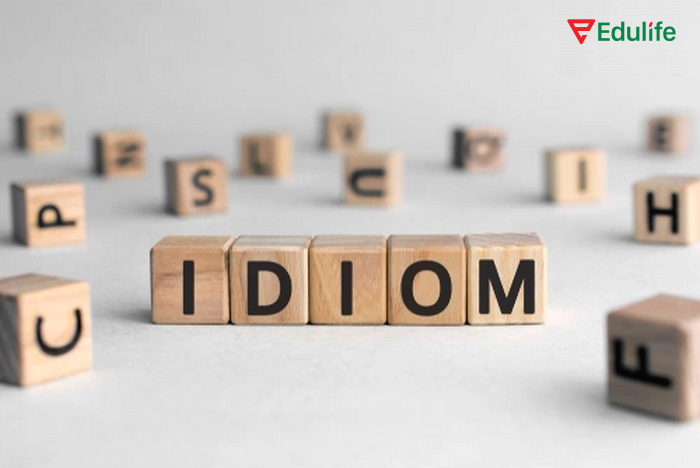 Idioms có rất nhiều loại và được phân chia theo chủ đề