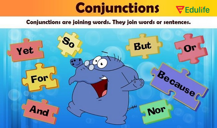 Dấu phẩy được đặt tùy theo vị trí của mệnh đề trong câu