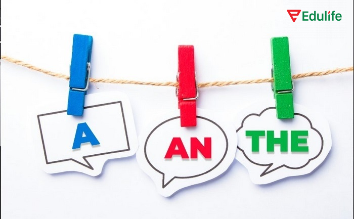 The, a, an thường đứng trước danh từ hoặc cụm danh từ để bổ nghĩa