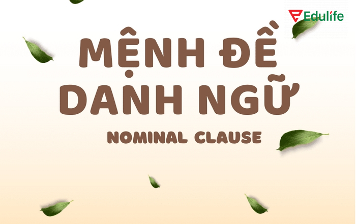 Mệnh đề danh ngữ có thể đứng ở đầu, giữa hoặc cuối câu