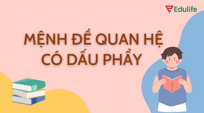 Mệnh đề quan hệ có dấu phẩy