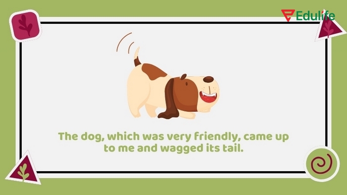 Mệnh đề quan hệ có dấu phẩy có thể đặt who which whose có dấu phẩy trước mệnh đề phụ