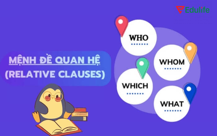 Mệnh đề quan hệ cung cấp thông tin bổ sung cho danh từ/đại từ đứng trước để câu văn rõ ràng hơn