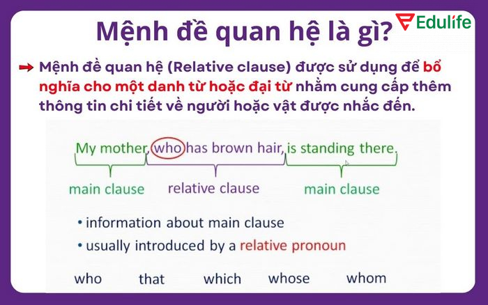 Mệnh đề quan hệ trong tiếng Anh giúp đoạn văn, bài luận logic, có sự liên kết hơn