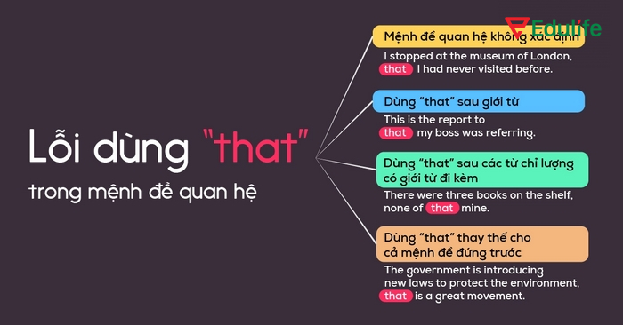 Dùng sai “that” là lỗi nhiều người mắc phải, khiến câu sai ngữ pháp