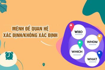 Mệnh đề quan hệ xác định và không xác định