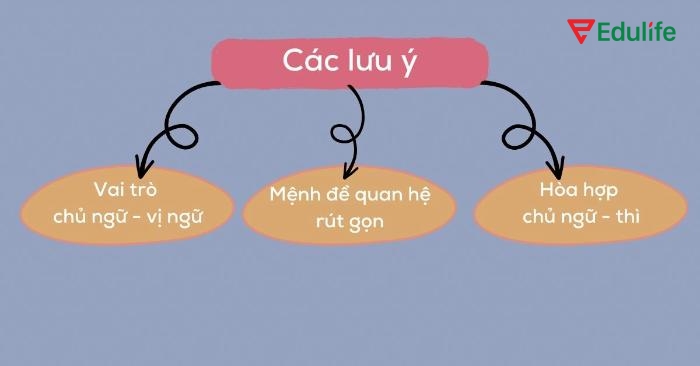 Nắm vững các nguyên tắc giúp sử dụng mệnh đề quan hệ linh hoạt và chính xác hơn trong cả văn nói và văn viết tiếng Anh