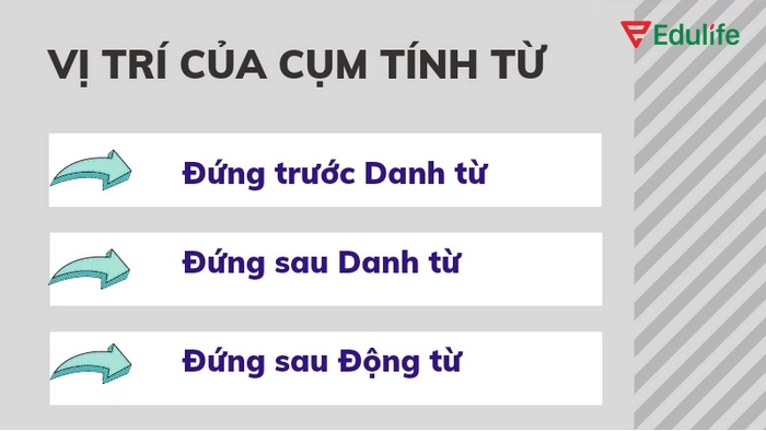 Mệnh đề tính từ khác cụm tính từ cả về cấu trúc và cách sử dụng trong câu 