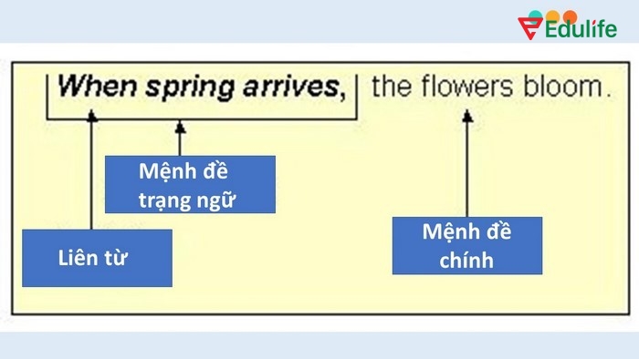 Mệnh đề trạng ngữ chỉ thời gian gồm liên từ chỉ thời gian, có thể đứng ở đầu hoặc cuối câu