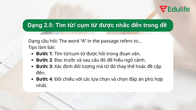 Dạng 2.5: Tìm từ/ cụm từ được nhắc đến trong đề