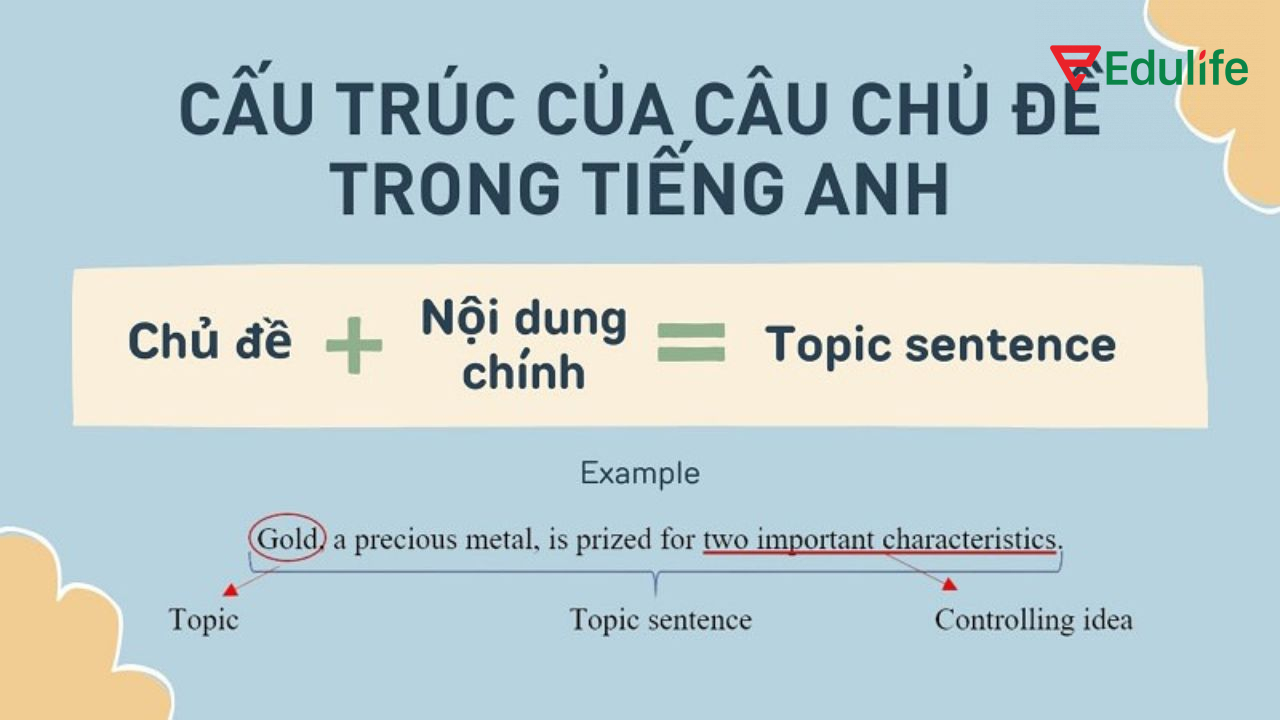 Cách triển khai câu chủ đề của bài luận